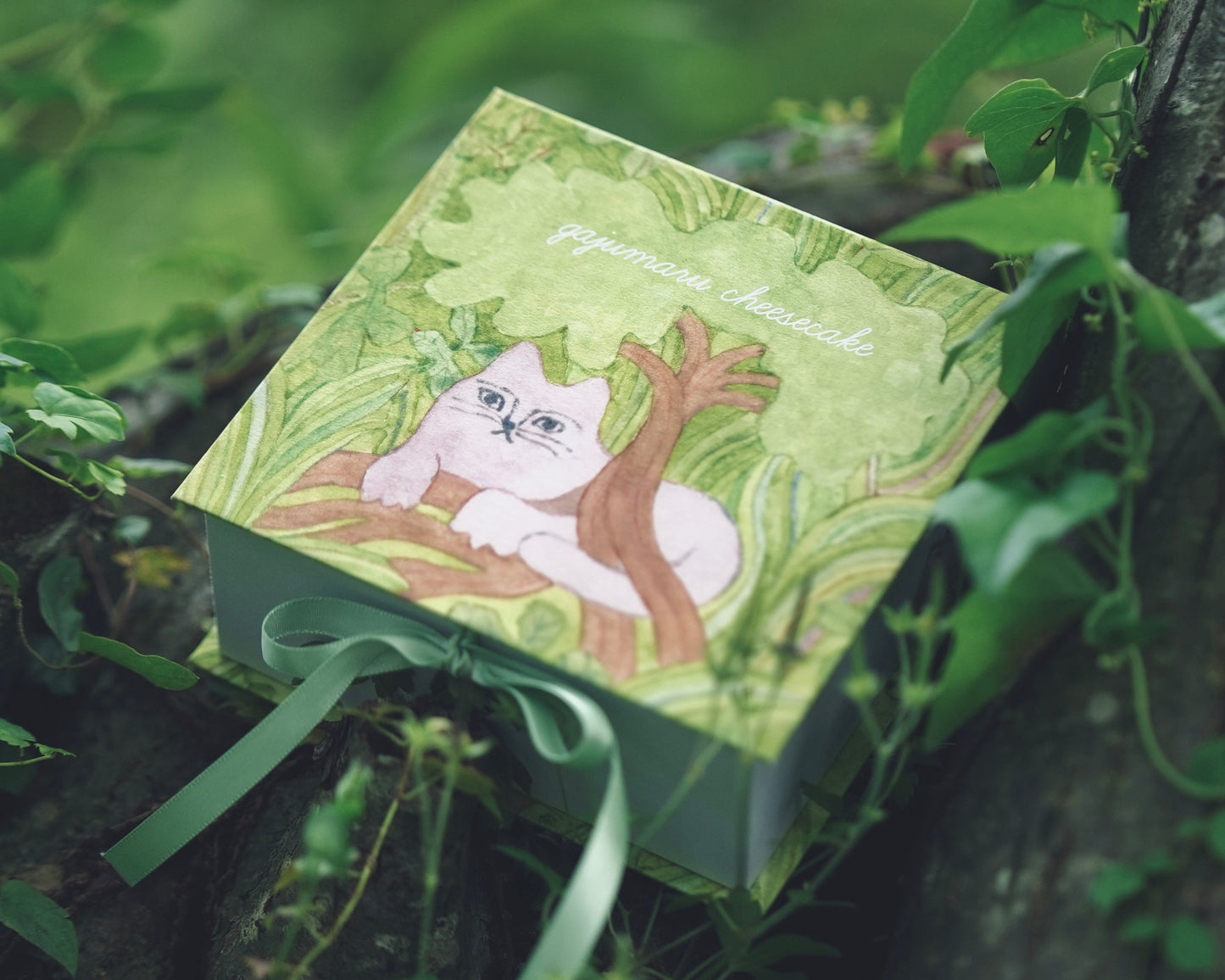 【冷凍配送】gajumaruのベイクドチーズケーキ（12cm）