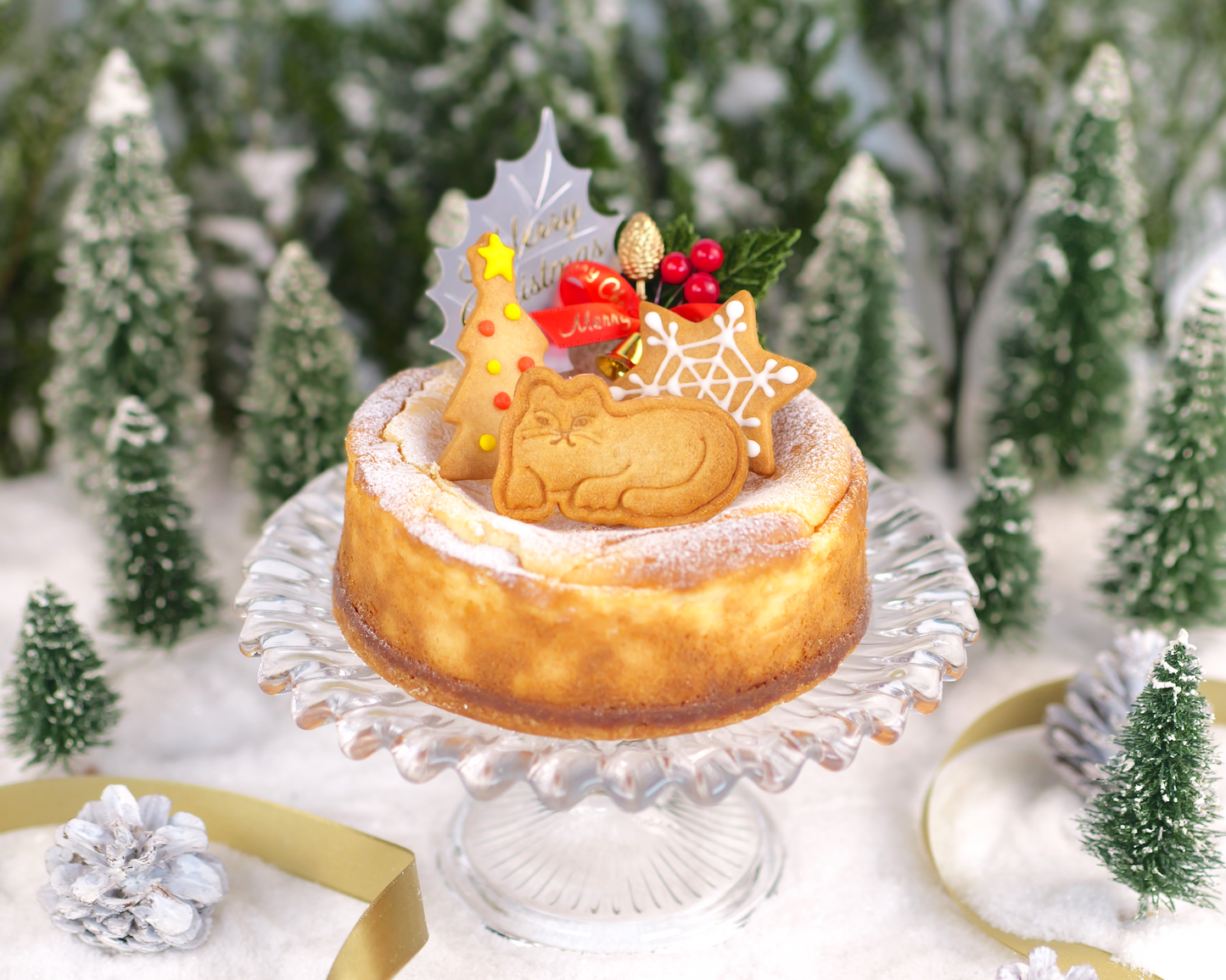 【冷凍配送】季節限定gajumaruのクリスマスケーキ〈ベイクドチーズケーキ12cm〉